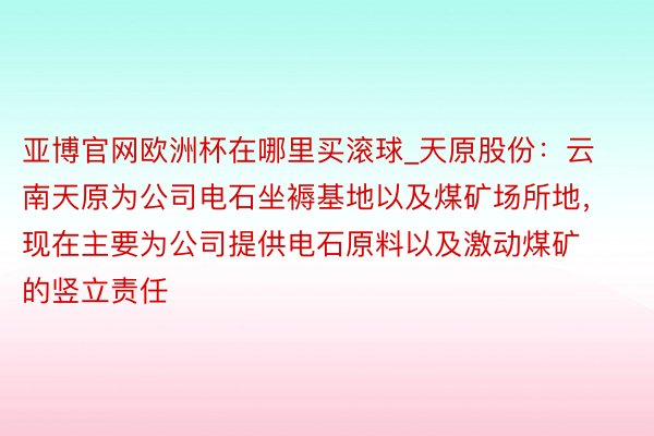 亚博官网欧洲杯在哪里买滚球_天原股份：云南天原为公司电石坐褥基地以及煤矿场所地，现在主要为公司提供电石原料以及激动煤矿的竖立责任
