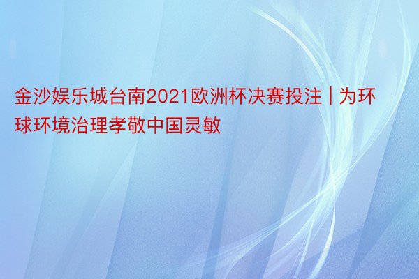 金沙娱乐城台南2021欧洲杯决赛投注 | 为环球环境治理孝敬中国灵敏