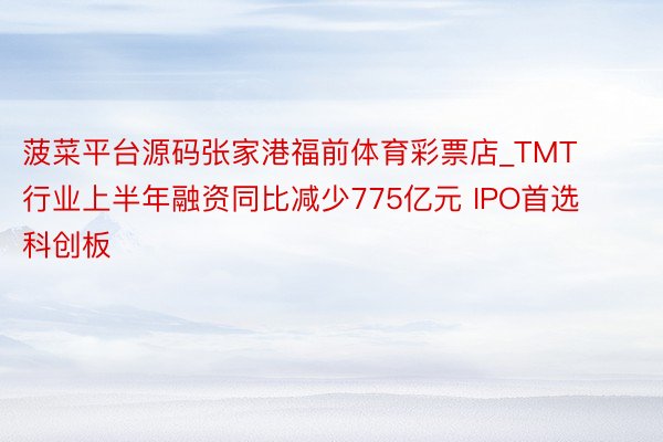 菠菜平台源码张家港福前体育彩票店_TMT行业上半年融资同比减少775亿元 IPO首选科创板